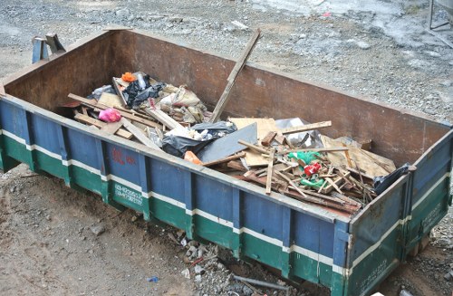 Professional garden clearance in Sydenham