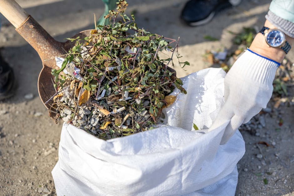 Sydenham rubbish clearance guide for SE26 homes